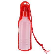 water dog cat feeding bottle travel portable automatic dispenser products for dogs mascotas - DirectM
